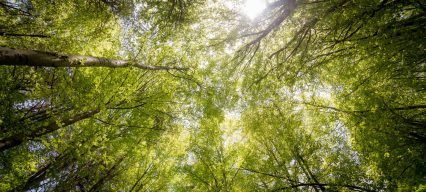 démarche-environnementale-entreprise|mesurer-démarche-environnementale