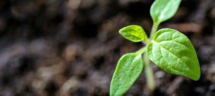 sensibilisation-environnement-entreprise|organisation-sensibilisation-environnement-entreprise